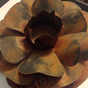 Jan Barboglio Steel Rose